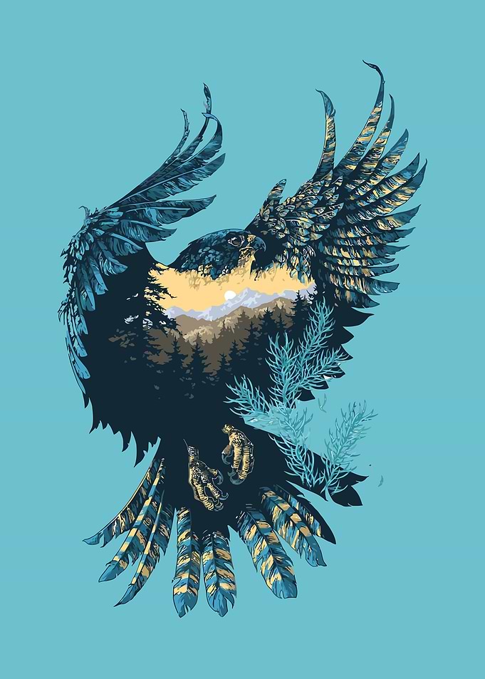 Wildlife Eagle Drawing