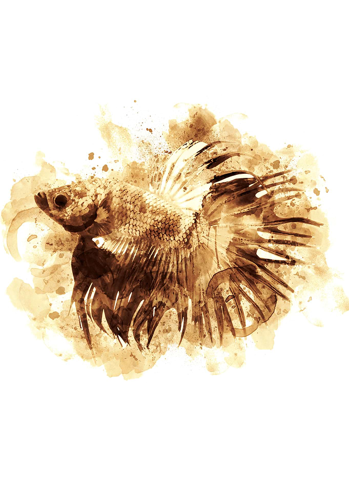 Ocean Fish Coffee Style