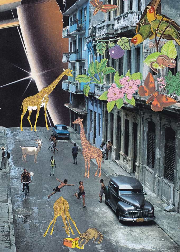 Havana [collage]