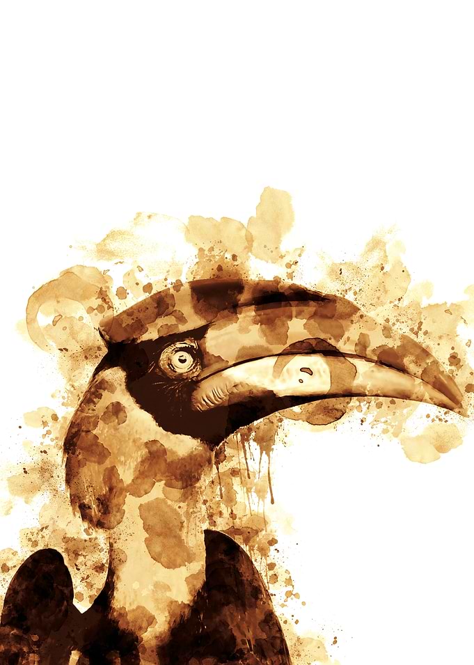 Toucan Tropical Coffee Art