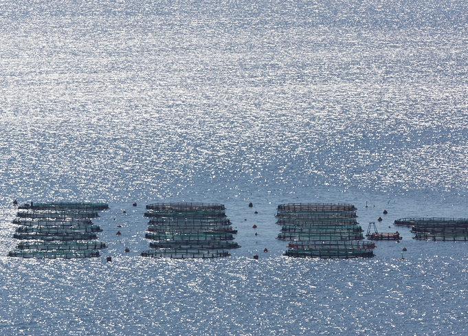 fish farms