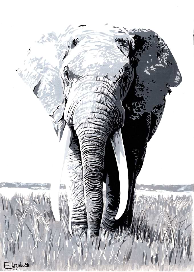 Harry the Elephant