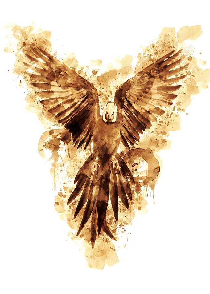 Flying Parrot Coffee Art