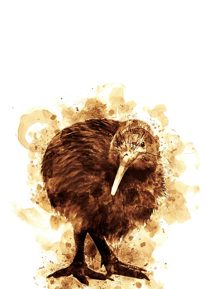 Kiwi Bird Coffee Style Art