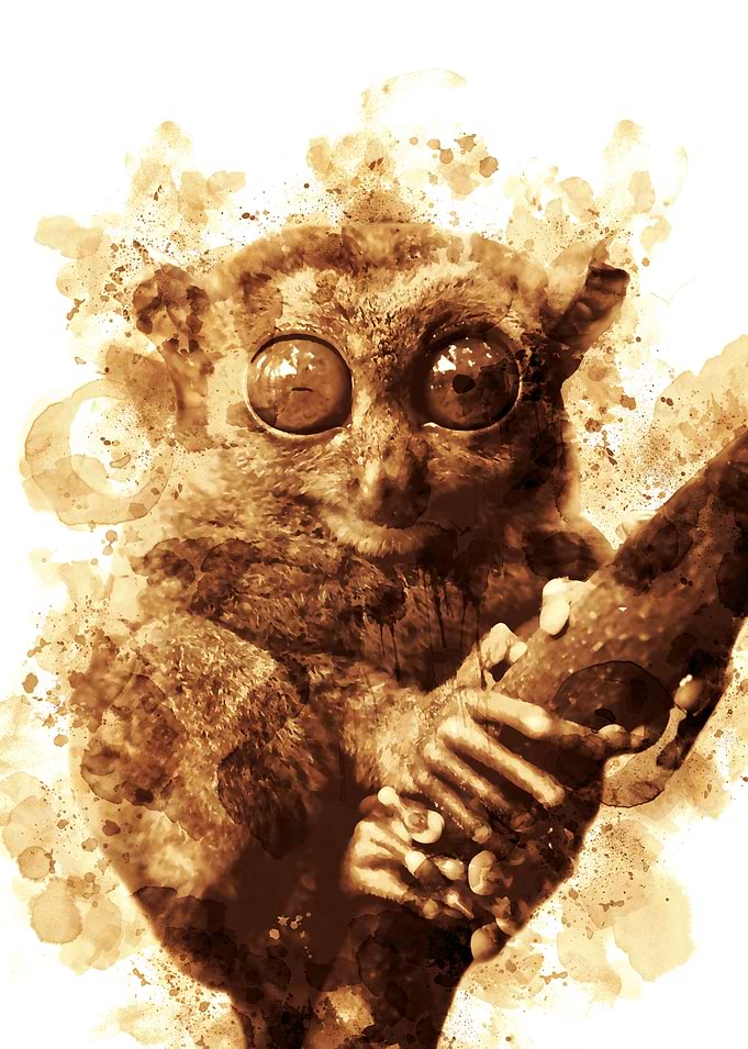 Big Eyes Monkey Coffee Art