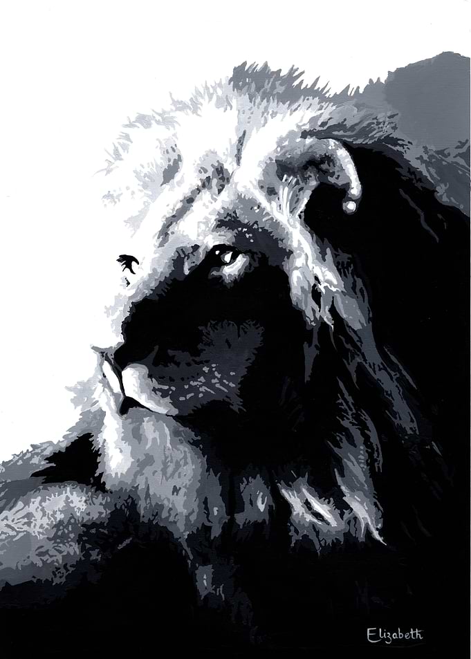 Malone the Lion