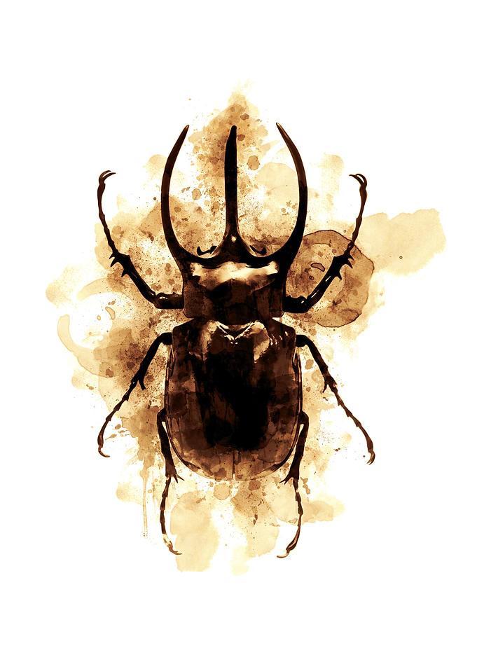 Modern Insect Coffee style