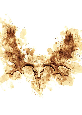 Animal Skull Head Coffee painting