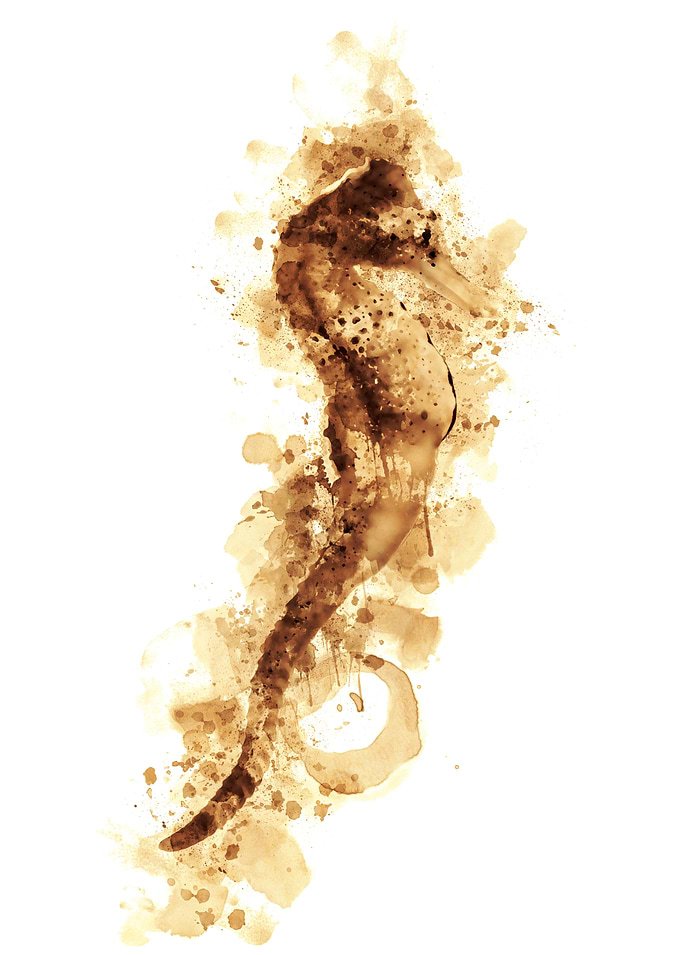 Sea Horse Coffee Style Art