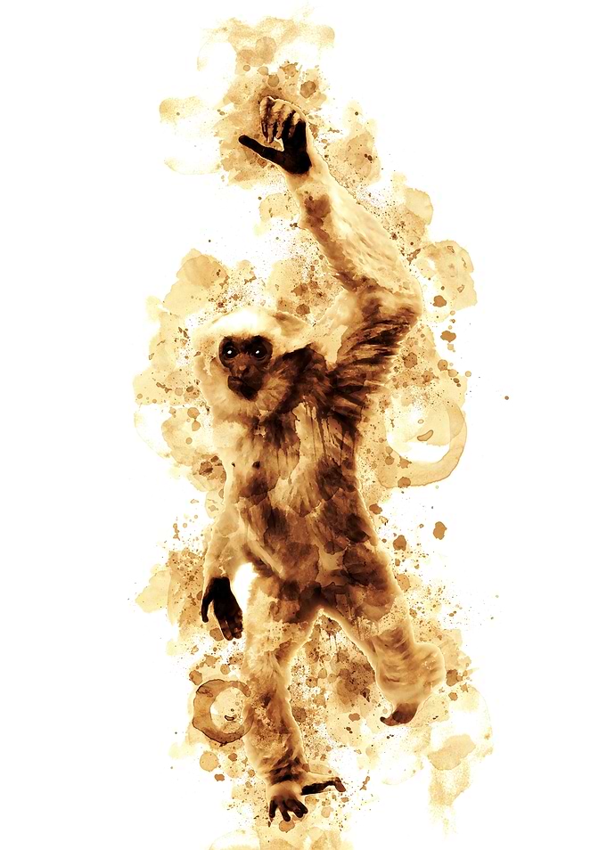 Funny Monkey Coffee Style Painting