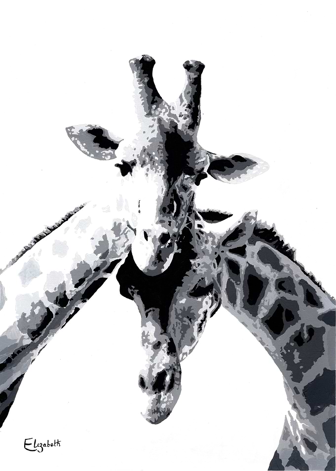 Qen & Ani the Giraffes