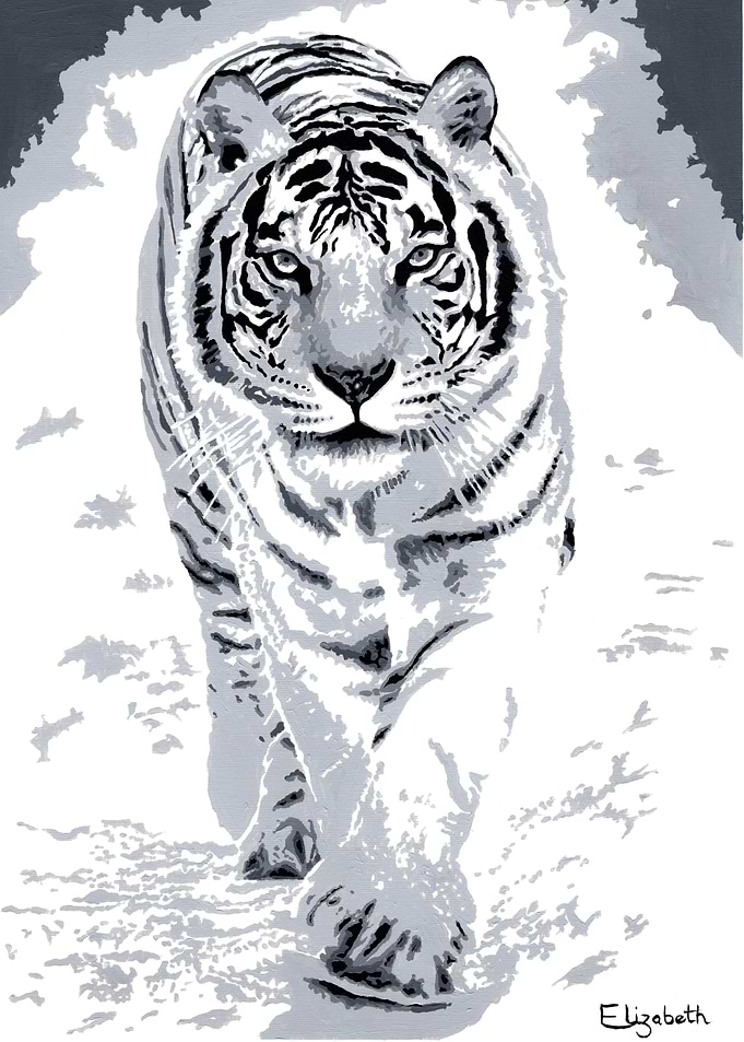 Adora the Tiger
