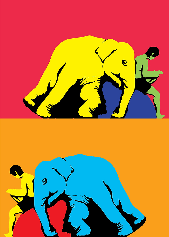 elephant06