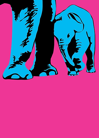 elephant02