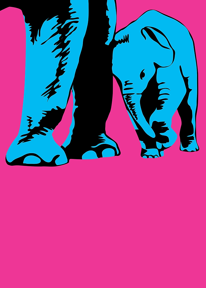 elephant02