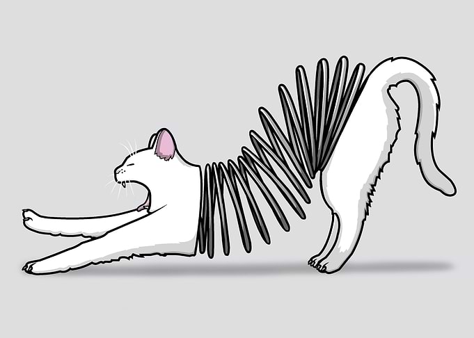 Slinkat!