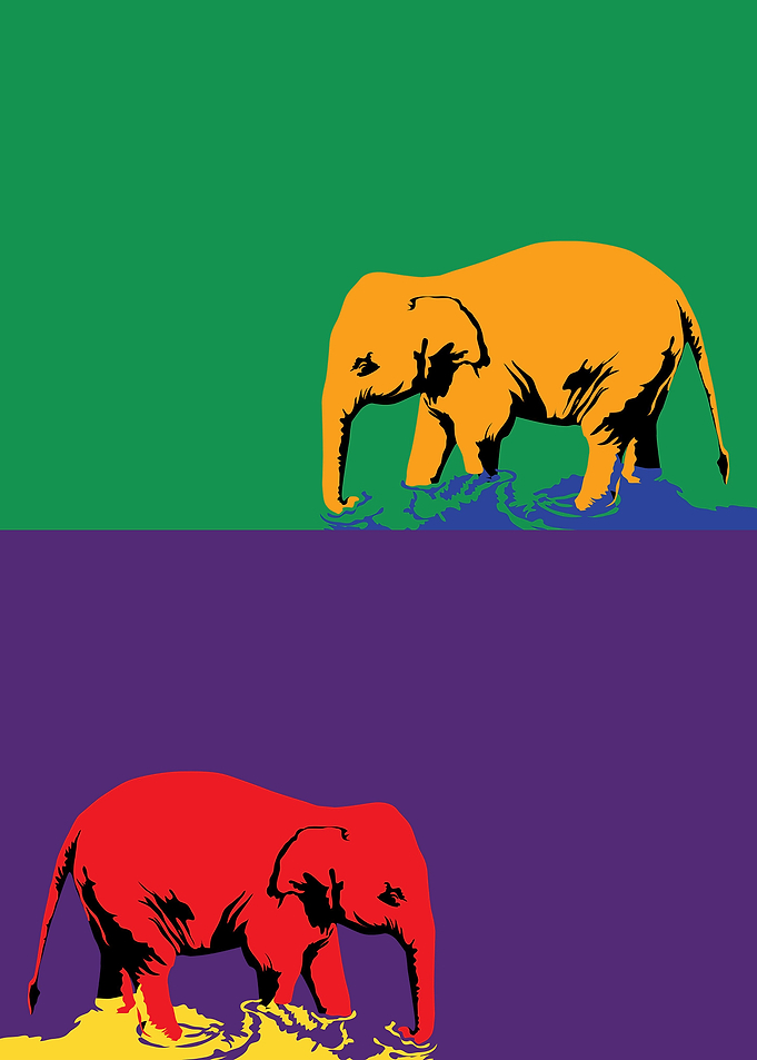 elephant13