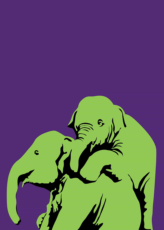 elephant15