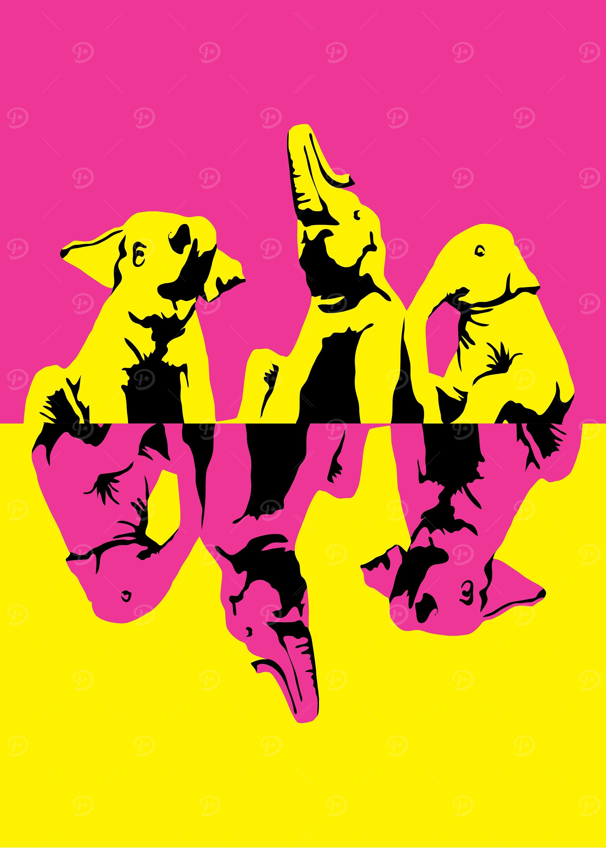 elephant09