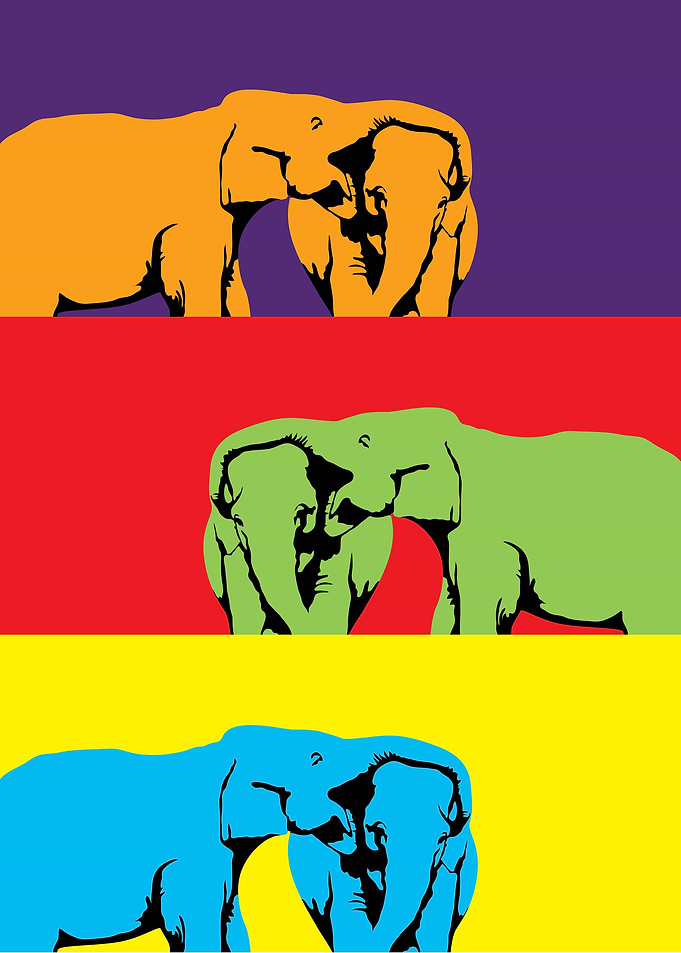 elephant12