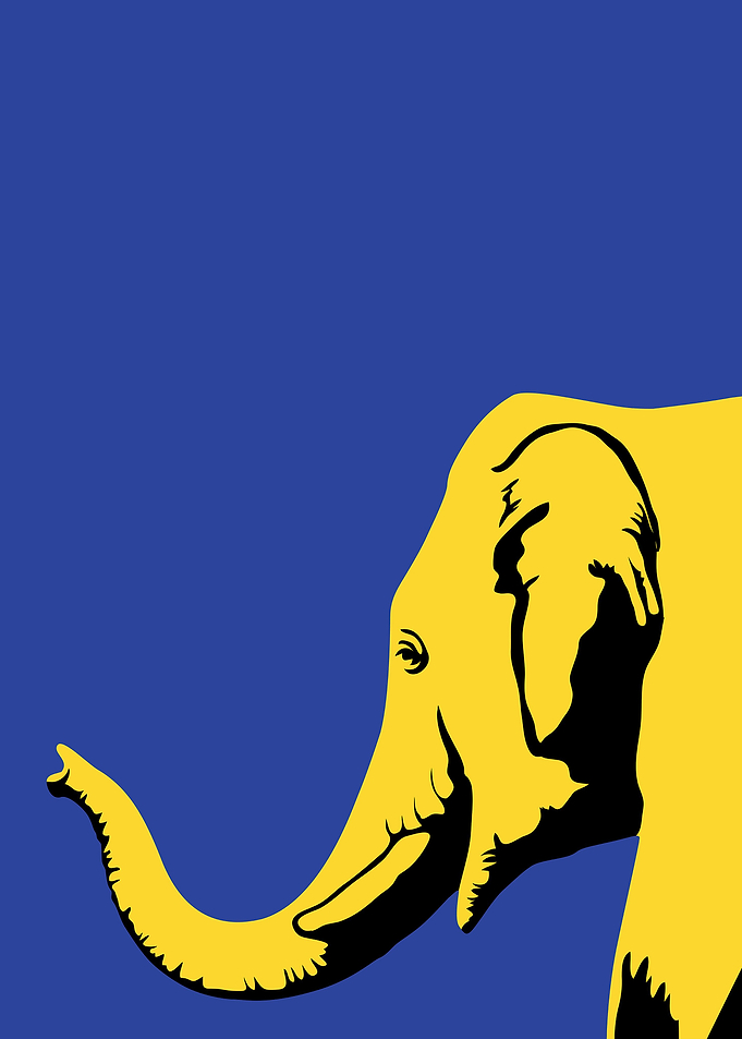 elephant05