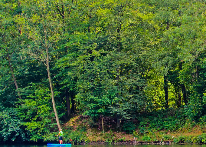 Alone in the lake