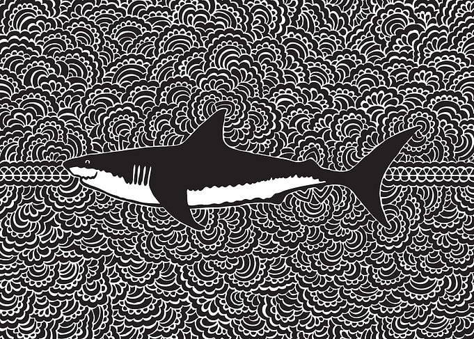 Shark Drawing Meditation