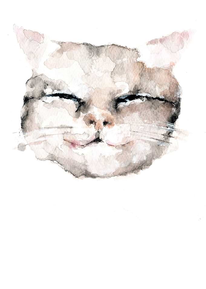 Cat 02