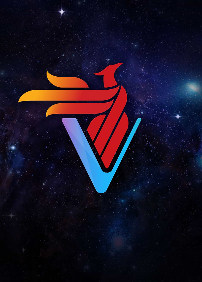 Rise of the VeChain