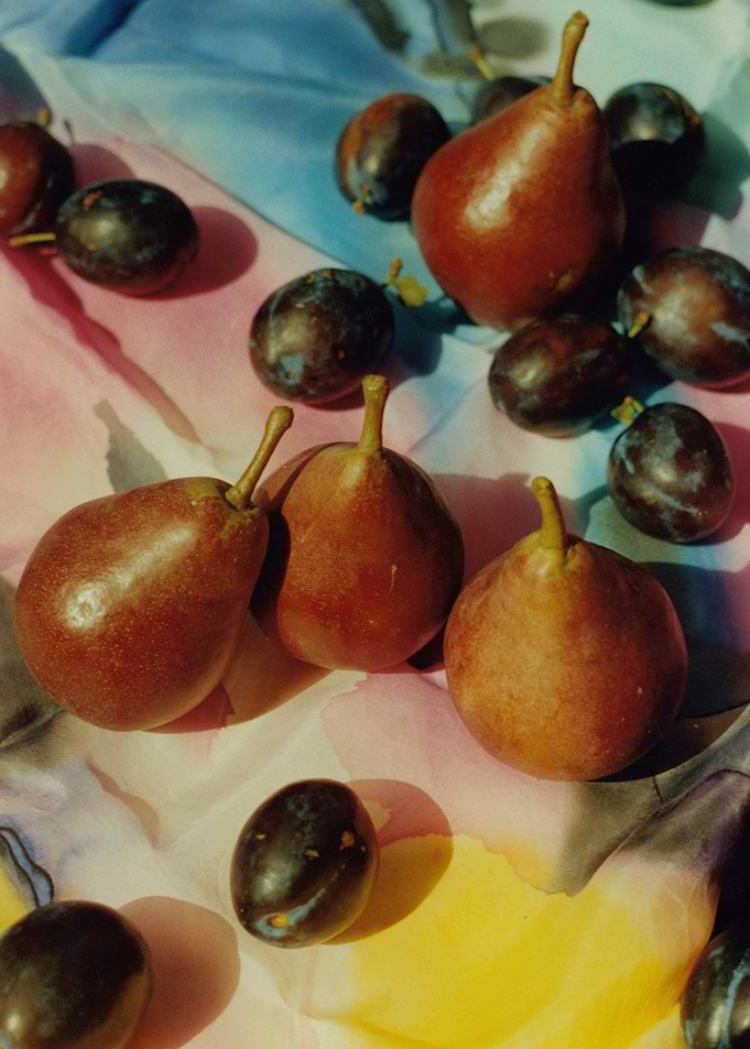 Pears in sunshine