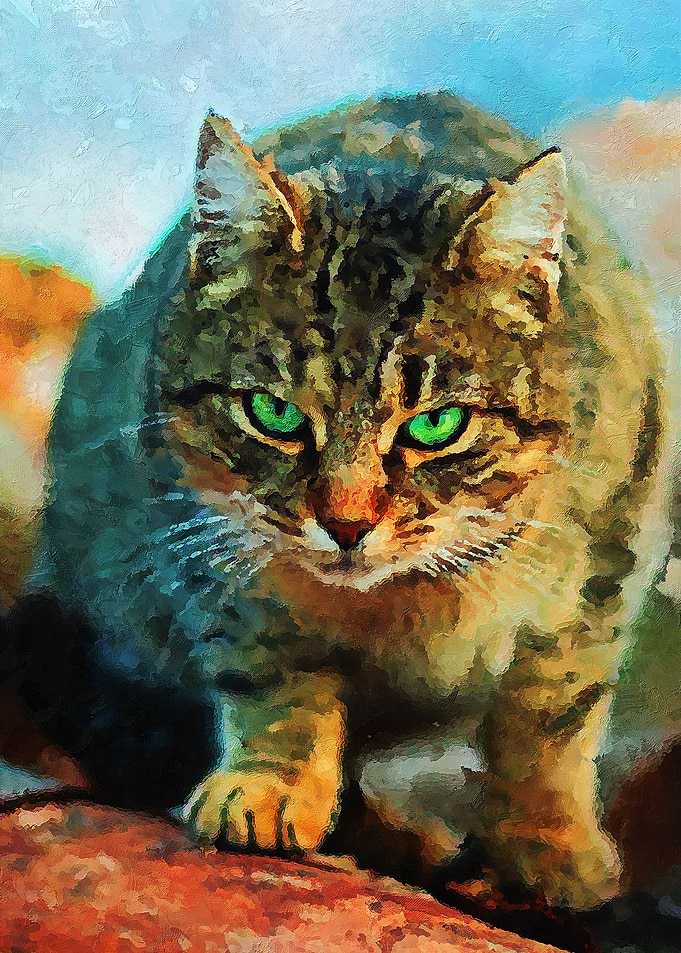 Cat