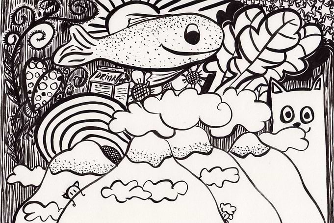 Fish in the sky