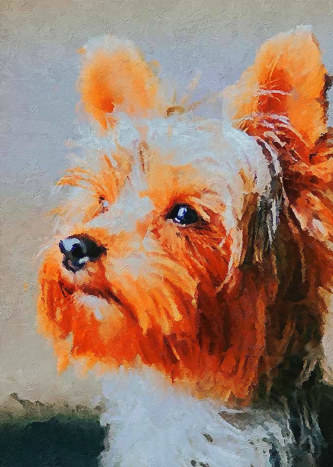 Puppy