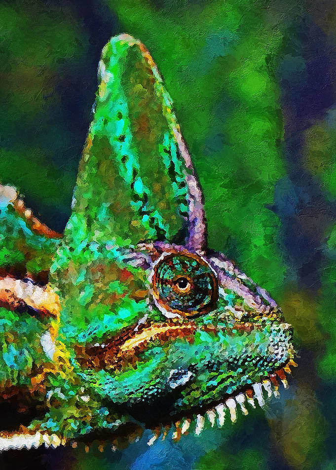 Lizard