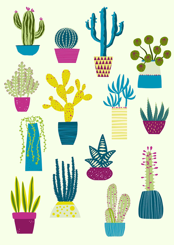 Cactus Garden