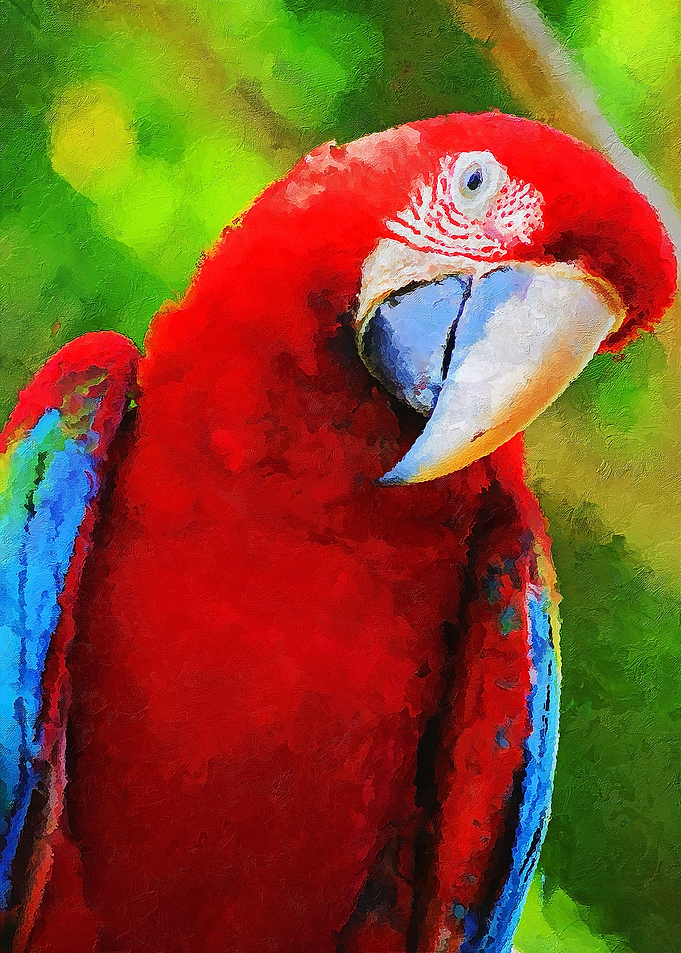 Parrot