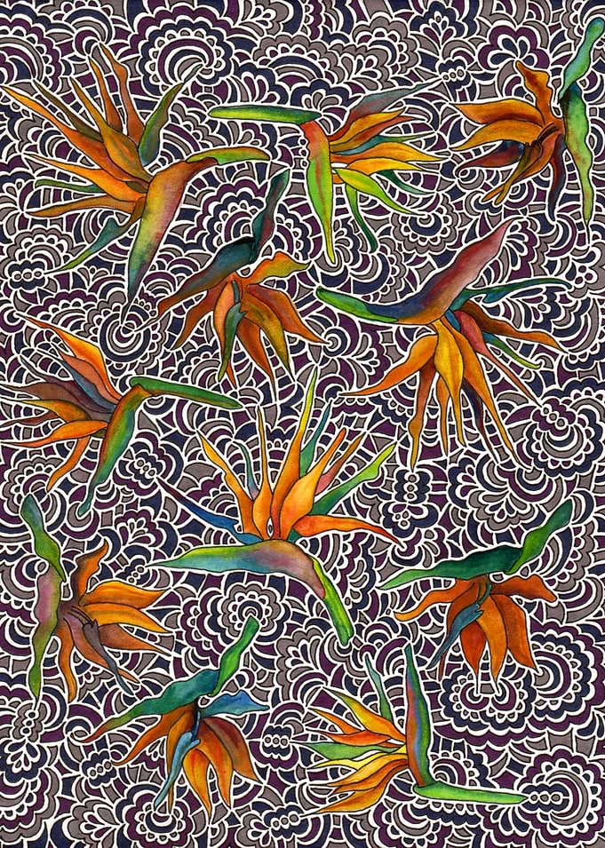 Bird of Paradise