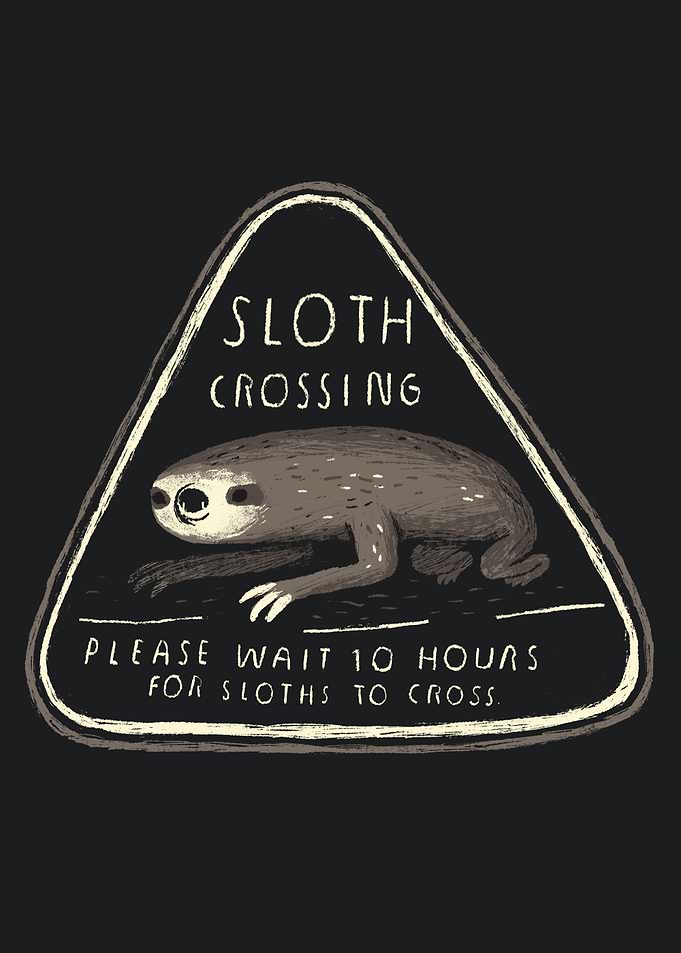 sloth crossing