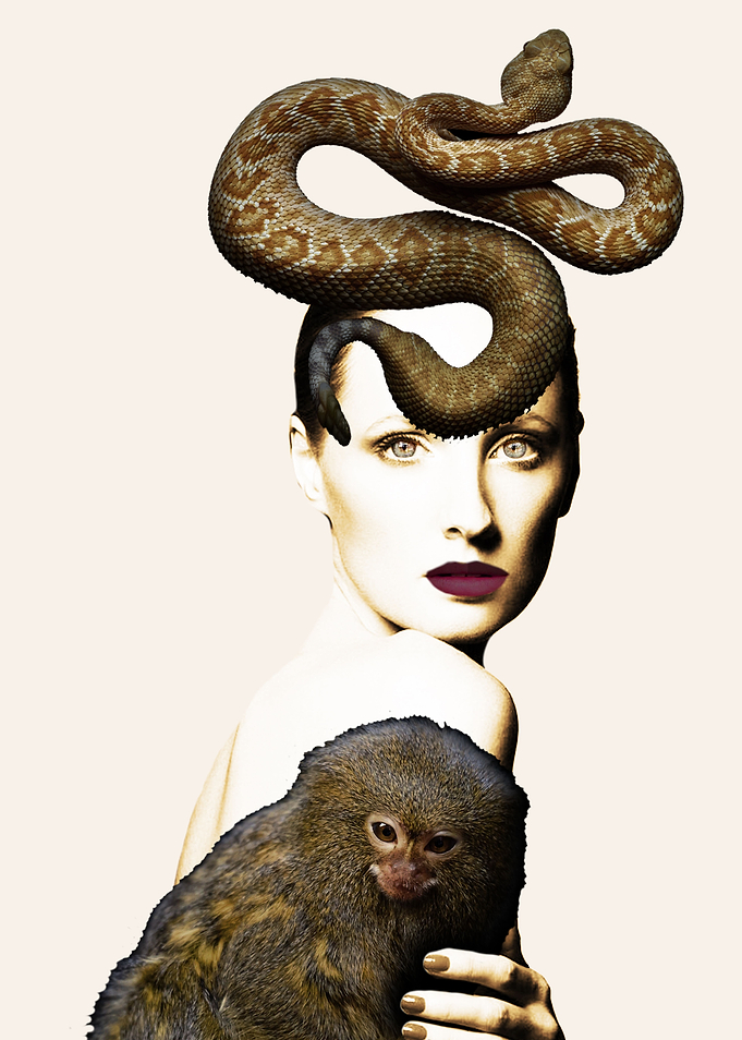 Portraitcollage 03