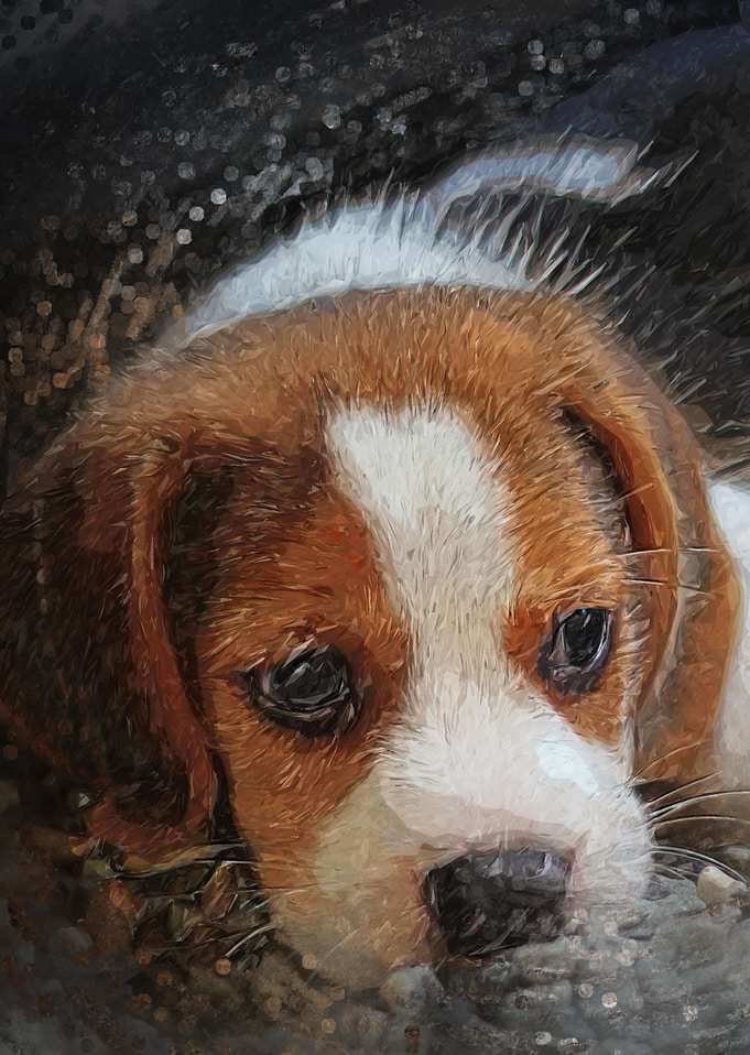 puppies