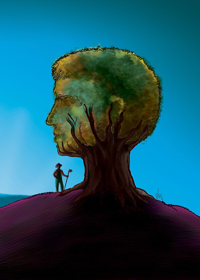 Growth