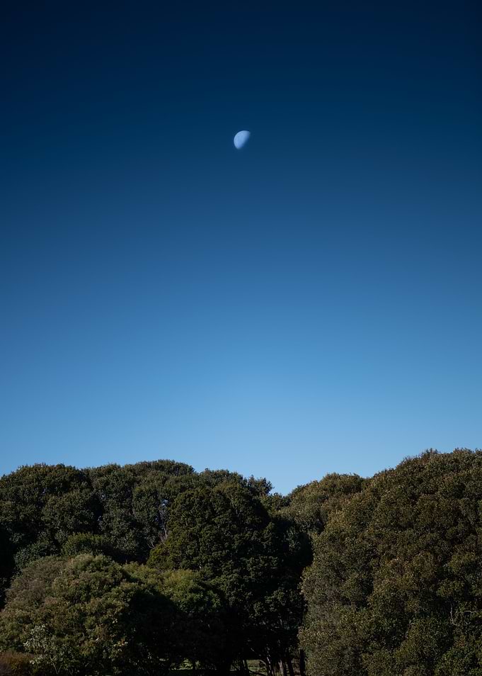 Moon Man