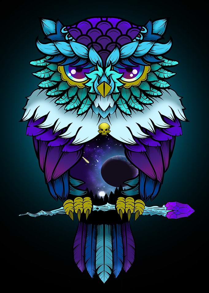 Cosmic Owl