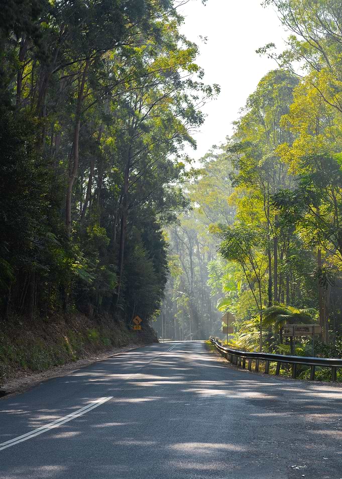 A road traveled