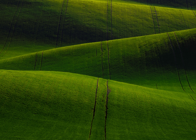 The green carpet