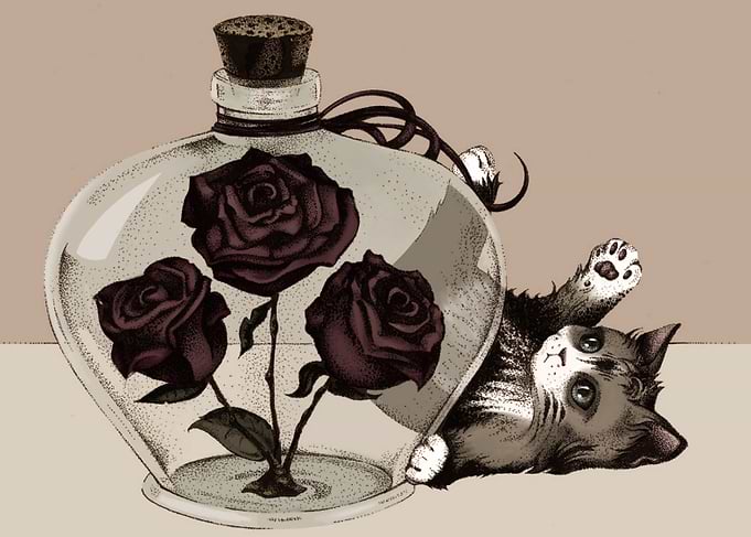 Purrr