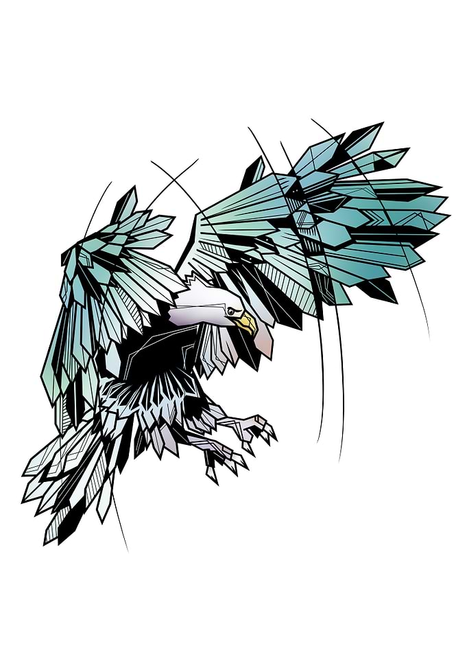 Geometric flying eagle
