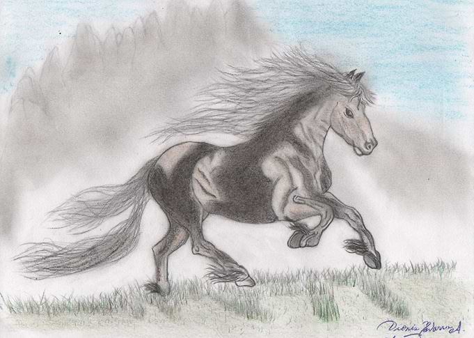 Horse and the prairie