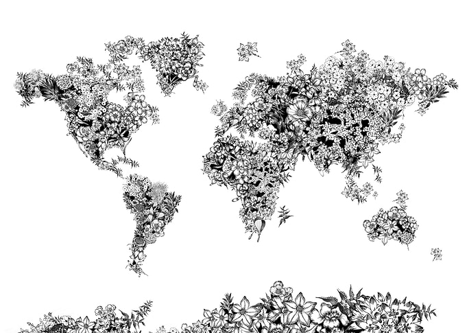 world map flowers 11