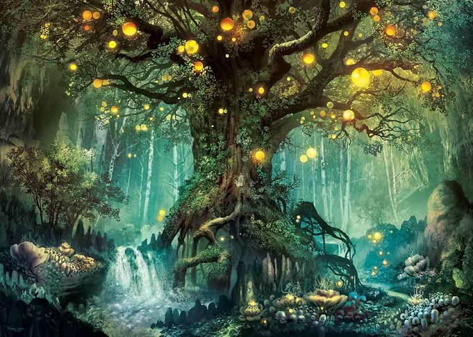 Dimlight Forest